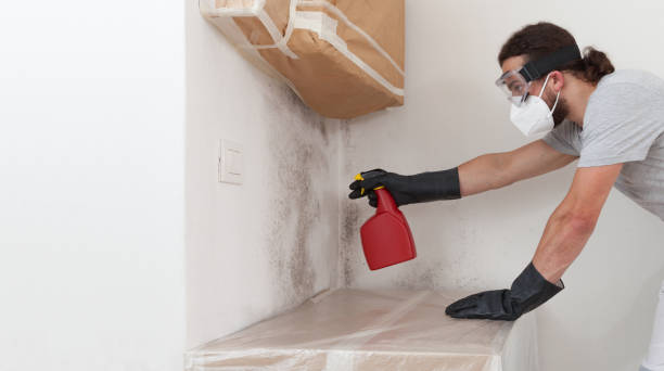 Professional Mold Removal technician working in Huntington, NY